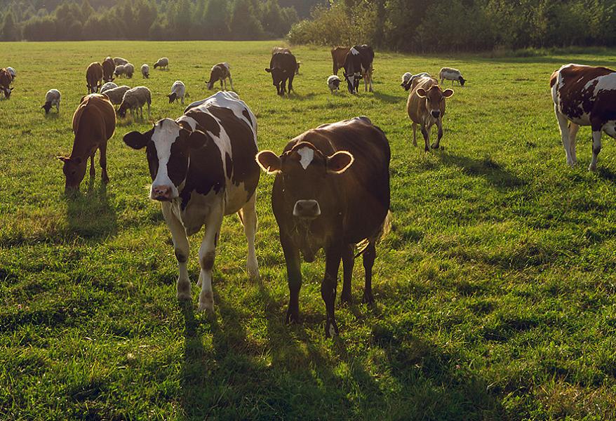 Новый магазин фото