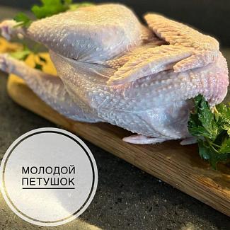 Молодой петушок